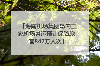 海南机场集团岛内三家机场暑运预计保障旅客842万人次