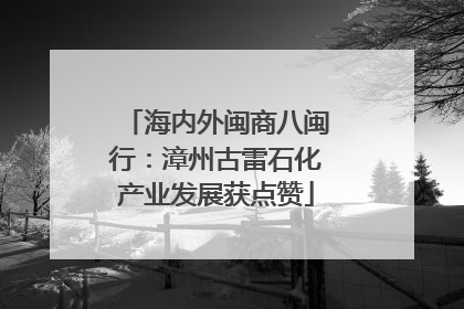 海内外闽商八闽行：漳州古雷石化产业发展获点赞