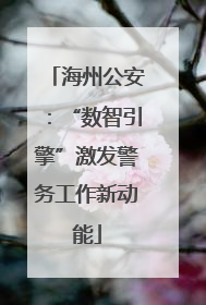 海州公安：“数智引擎”激发警务工作新动能