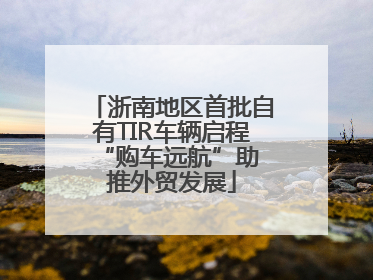 浙南地区首批自有TIR车辆启程 “购车远航”助推外贸发展