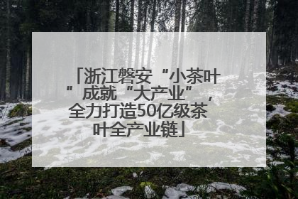 浙江磐安“小茶叶”成就“大产业”，全力打造50亿级茶叶全产业链