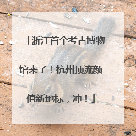 浙江首个考古博物馆来了！杭州顶流颜值新地标，冲！