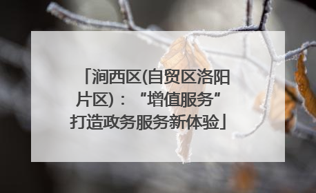 涧西区(自贸区洛阳片区)：“增值服务”打造政务服务新体验