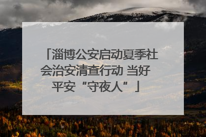 淄博公安启动夏季社会治安清查行动 当好平安“守夜人”