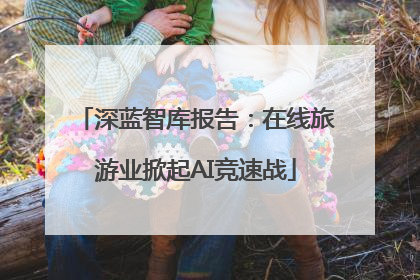 深蓝智库报告：在线旅游业掀起AI竞速战