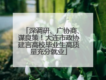 深调研、广协商、谋良策！大连市政协建言高校毕业生高质量充分就业