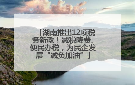 湖南推出12项税务新政！减税降费、便民办税，为民企发展“减负加油”