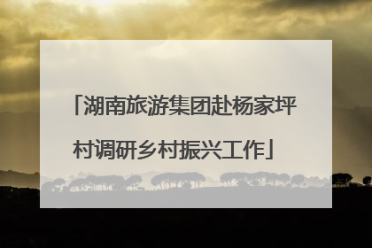 湖南旅游集团赴杨家坪村调研乡村振兴工作