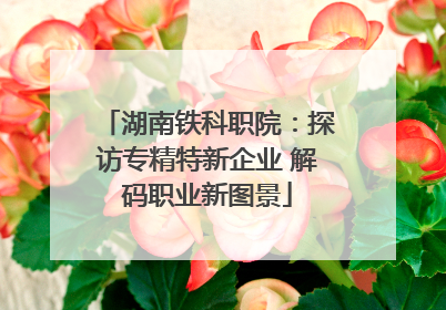 湖南铁科职院：探访专精特新企业 解码职业新图景