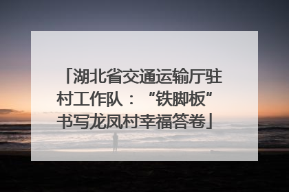 湖北省交通运输厅驻村工作队：“铁脚板”书写龙凤村幸福答卷