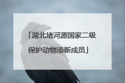 湖北堵河源国家二级保护动物添新成员