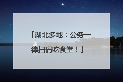 湖北多地：公务一律扫码吃食堂！