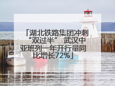 湖北铁路集团冲刺“双过半” 武汉中亚班列一年开行量同比增长72%