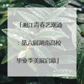 湘江青春艺潮涌：第六届湖南高校毕业季美展启幕