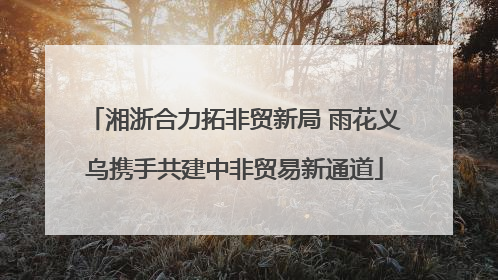 湘浙合力拓非贸新局 雨花义乌携手共建中非贸易新通道