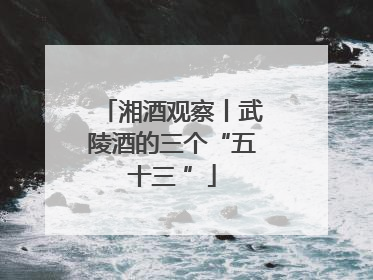 湘酒观察丨武陵酒的三个“五十三 ”