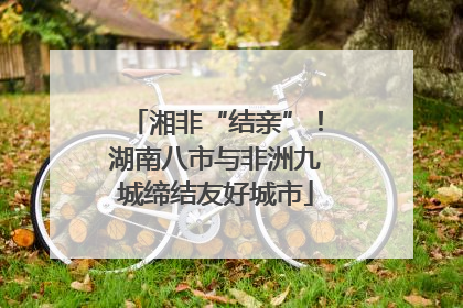 湘非“结亲”！湖南八市与非洲九城缔结友好城市