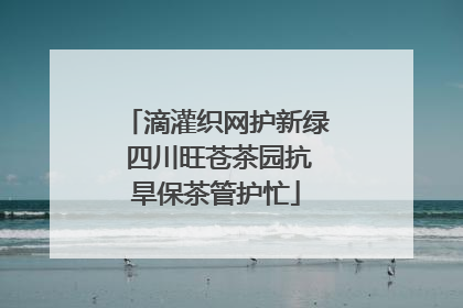 滴灌织网护新绿 四川旺苍茶园抗旱保茶管护忙