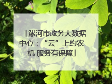漯河市政务大数据中心：“云”上约农机 服务有保障