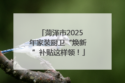 菏泽市2025年家装厨卫“焕新”补贴这样领！