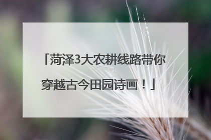 菏泽3大农耕线路带你穿越古今田园诗画！
