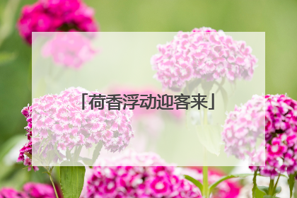 荷香浮动迎客来