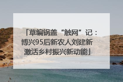 草编锅盖“触网”记：博兴95后新农人刘建新激活乡村振兴新动能