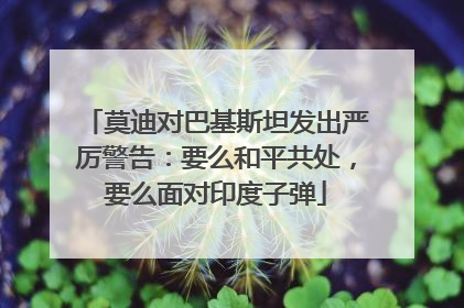 莫迪对巴基斯坦发出严厉警告：要么和平共处，要么面对印度子弹