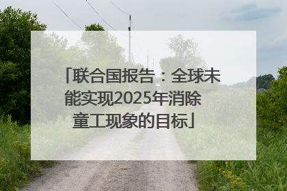 联合国报告：全球未能实现2025年消除童工现象的目标