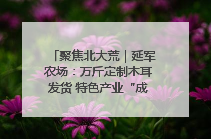 聚焦北大荒｜延军农场：万斤定制木耳发货 特色产业“成绩单”亮眼