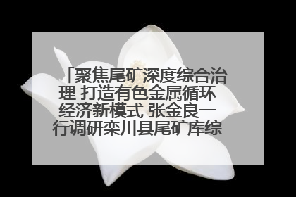 聚焦尾矿深度综合治理 打造有色金属循环经济新模式 张金良一行调研栾川县尾矿库综合治理工作