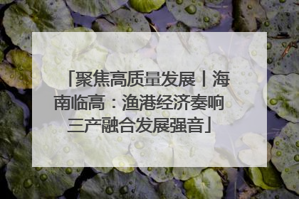 聚焦高质量发展丨海南临高：渔港经济奏响三产融合发展强音