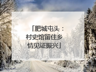 肥城屯头：村史馆留住乡情见证振兴
