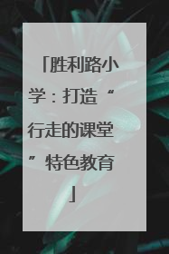 胜利路小学：打造“行走的课堂”特色教育