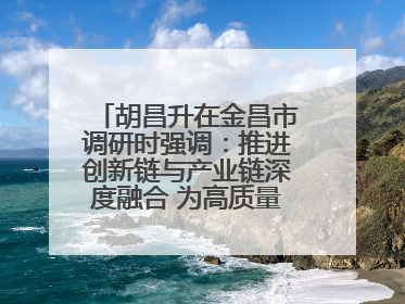 胡昌升在金昌市调研时强调：推进创新链与产业链深度融合 为高质量发展塑造新动能新优势