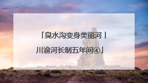 臭水沟变身美丽河丨川渝河长制五年间④