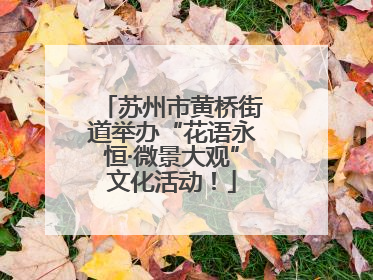 苏州市黄桥街道举办“花语永恒·微景大观”文化活动！
