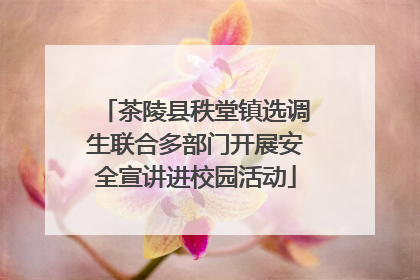茶陵县秩堂镇选调生联合多部门开展安全宣讲进校园活动