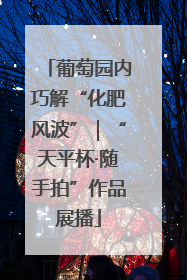 葡萄园内巧解“化肥风波”｜“天平杯·随手拍”作品展播