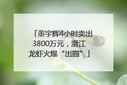 董宇辉4小时卖出3800万元，潜江龙虾火爆“出圈”