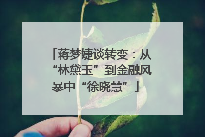 蒋梦婕谈转变：从“林黛玉”到金融风暴中“徐晓慧”