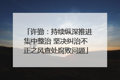 许勤：持续纵深推进集中整治 坚决纠治不正之风查处腐败问题