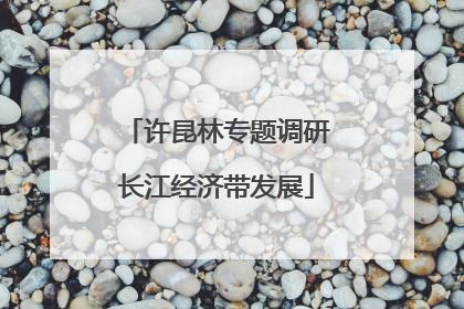 许昆林专题调研长江经济带发展