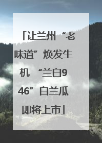 让兰州“老味道”焕发生机 “兰白946”白兰瓜即将上市