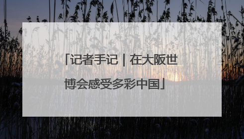 记者手记｜在大阪世博会感受多彩中国