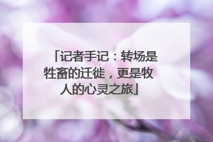 记者手记：转场是牲畜的迁徙，更是牧人的心灵之旅