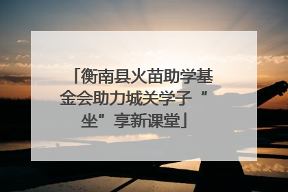 衡南县火苗助学基金会助力城关学子“坐”享新课堂
