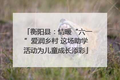 衡阳县：情暖“六一”爱润乡村 这场助学活动为儿童成长添彩