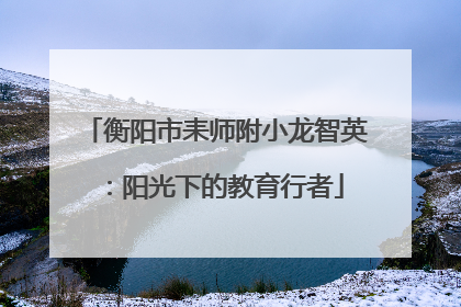 衡阳市耒师附小龙智英：阳光下的教育行者