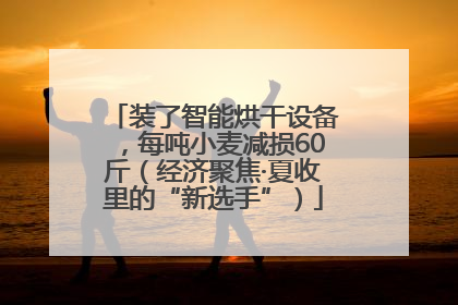 装了智能烘干设备，每吨小麦减损60斤（经济聚焦·夏收里的“新选手”）